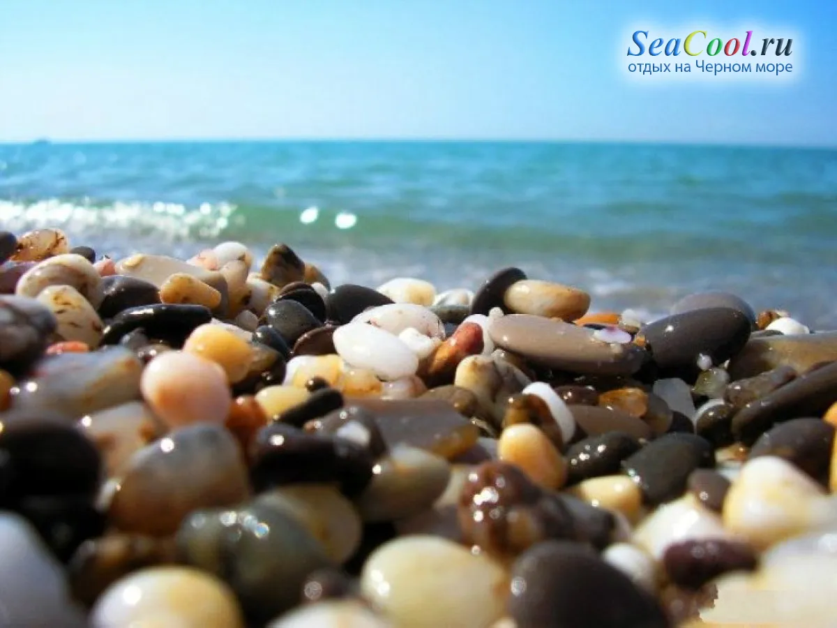 Где запастись провизией: обзор торговых точек